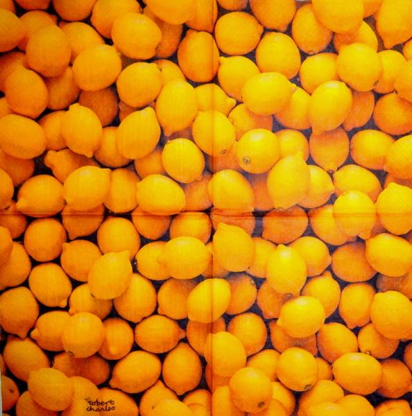 139 Lemons,  Oranges - 3-ply - Robert Charles